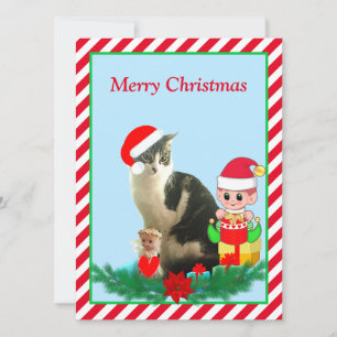 Chaton tabby de Noël, ange et lutin mignon sur fon