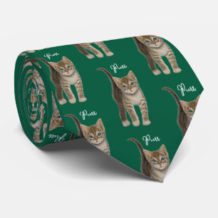 Chaton tigré avec cravate texte