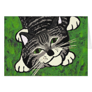 Chaton tigré espiègle