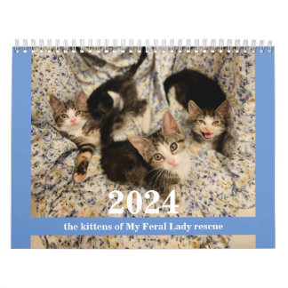 Chatons ! 2024 Mon Feral Lady kitten Calendrier