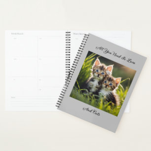 Chatons adorables en herbe