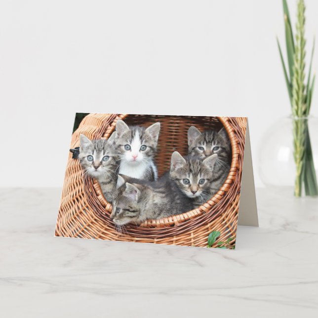 chatons dans une carte de voeux panier (Devant)