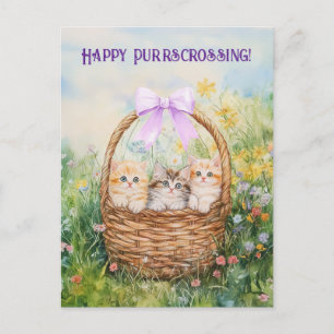 Chatons de poste - Carte postale