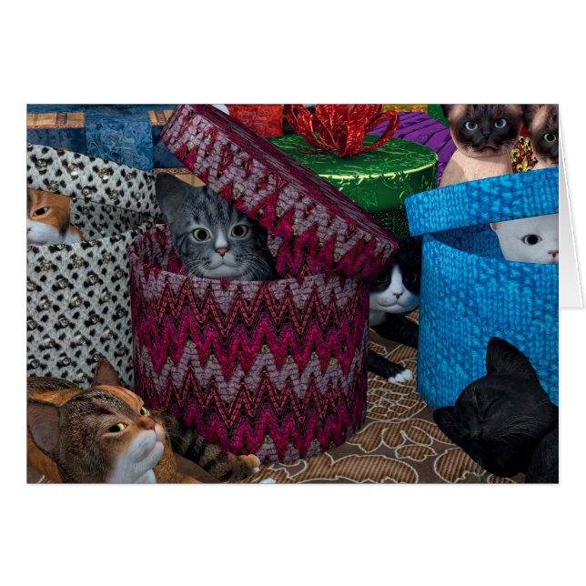 Chatons En Boîtes (Devant horizontal)