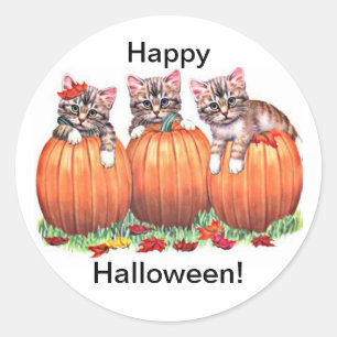 Chatons en Citrouille pour Stickers Halloween