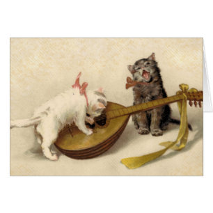 Chatons et la mandoline