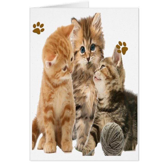 Chatons jouant aux t-shirts (Devant)