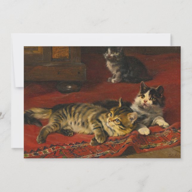 Chatons | Julius Adam le Jeune (Devant)