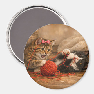 Chatons mignons jouant avec un aimant rond de fil