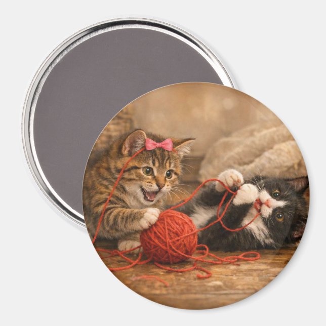 Chatons mignons jouant avec un aimant rond de fil  (Recto/Verso)