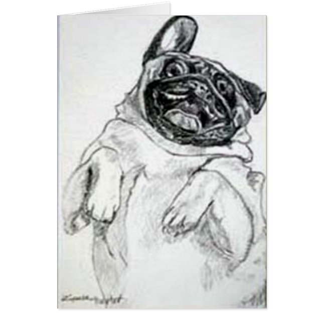 Chatouillez mon ventre, svp (Devant)