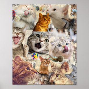 Chats chats chats... Poster Collage de Chat