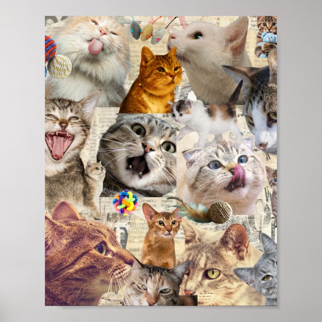 Chats chats chats... Poster Collage de Chat (Devant)