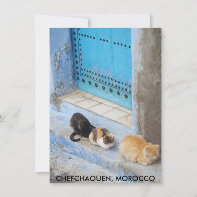 Chats, Chefchaouen, Carte Maroc (Devant)