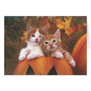 Chats Citrouilles précieux - Cartes personnalisabl