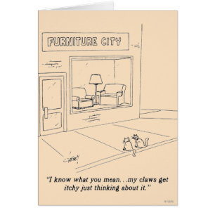 Chats Clawing Meubles