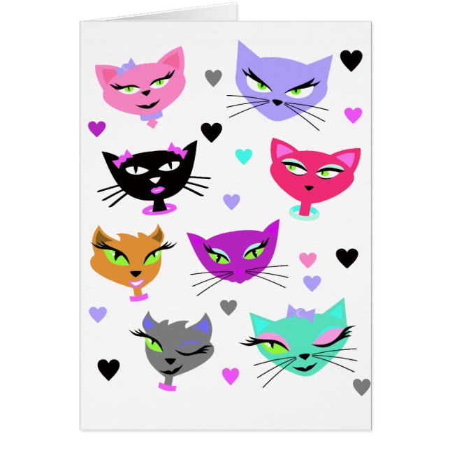 Chats colorés (Devant)