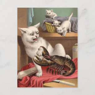 Chats coquins et carte postale de homard