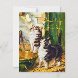 Chats Curieux Vintage Papillon Envoie des Sourires