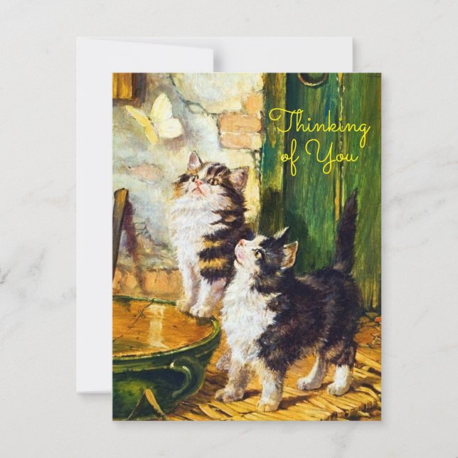 Chats Curieux Vintage Papillon Pensée Pour Vous (Devant)