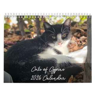 Chats de Chypre 2026 B par le Calendrier PaphosLif