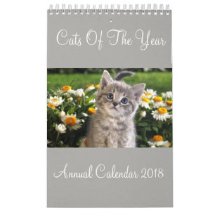 Chats De L'Année Calendrier Annuel 2018