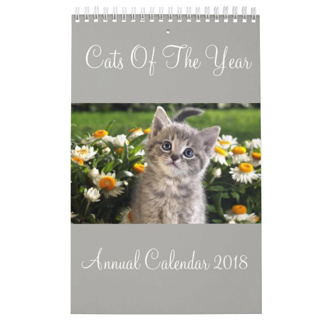 Chats De L'Année Calendrier Annuel 2018 (Protection)