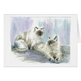 Chats de l'Himalaya