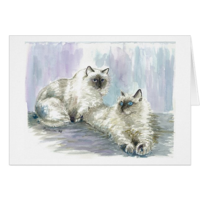 Chats de l'Himalaya (Devant horizontal)