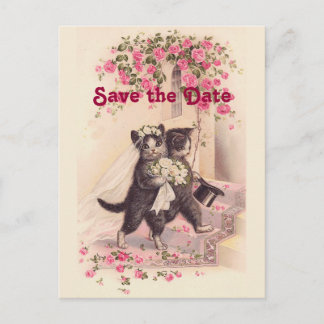 Chats de mariage vintage Sauvegardez la carte post