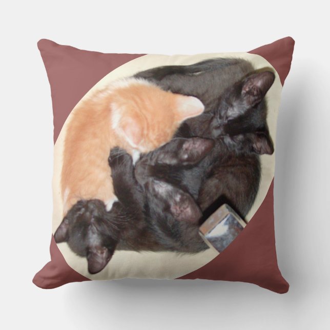 Chats de moëlle 37 Oreillers à lancer Carrés (Recto)