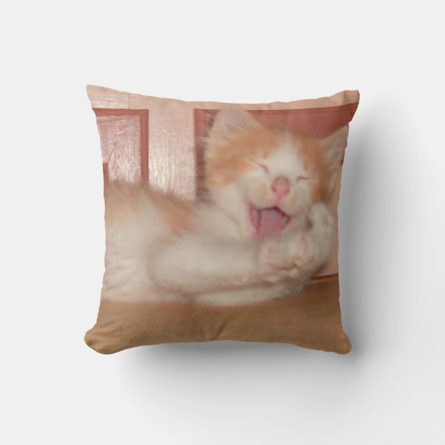 Chats de moëlle 7 Oreiller (Recto)