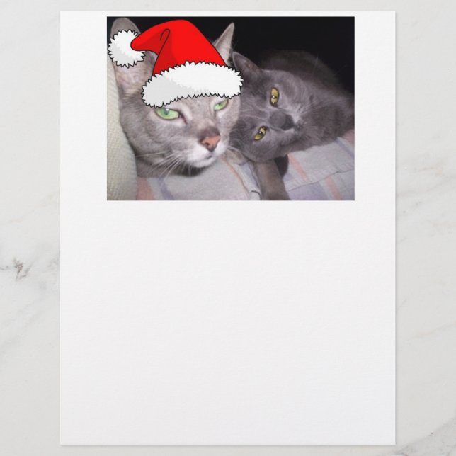 Chats de Noël (Devant)