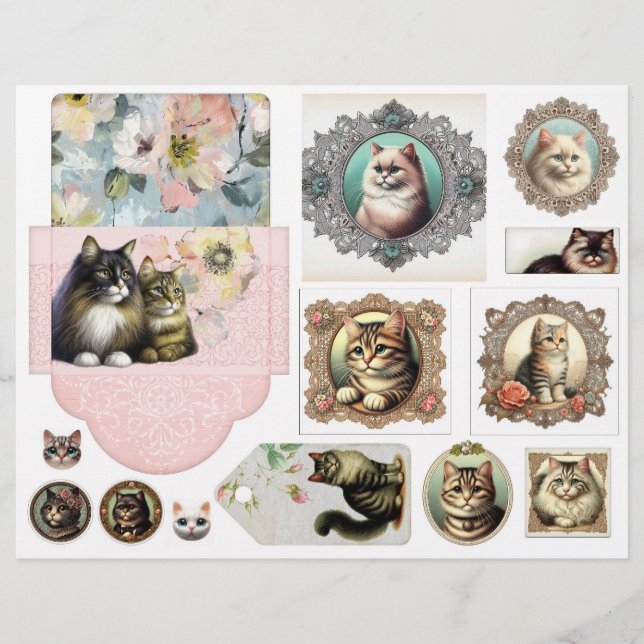 Chats de style vintage avec enveloppe (Devant)