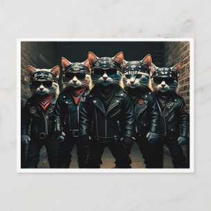 Chats drôles. Carte postale