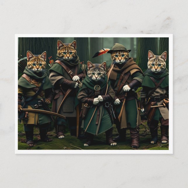 Chats drôles. Carte postale (Devant)