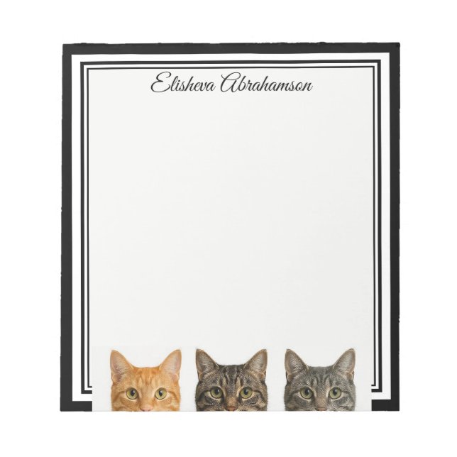 Chats drôles qui regardent par-dessus un bloc-note (Devant)