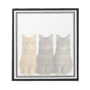 Chats drôles qui regardent par-dessus un bloc-note