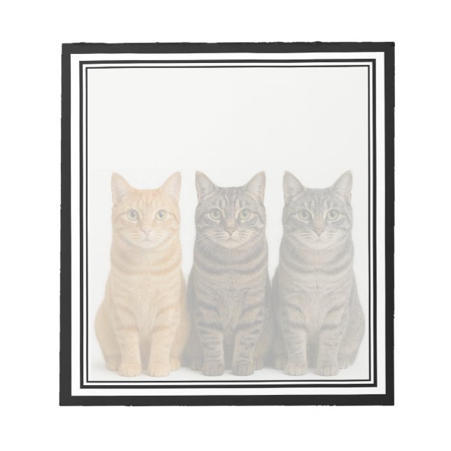 Chats drôles qui regardent par-dessus un bloc-note (Devant)