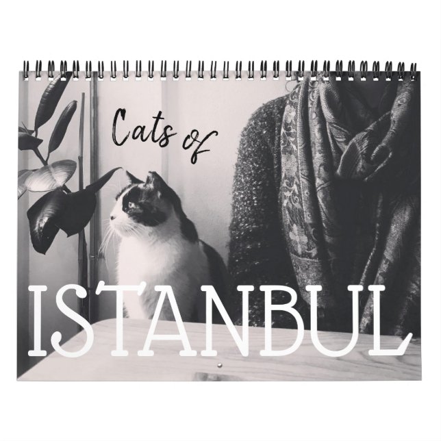 Chats du calendrier ISTANBUL (Protection)
