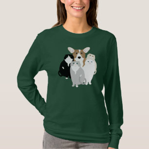Chats et chatons, long tshirt à manches féminin
