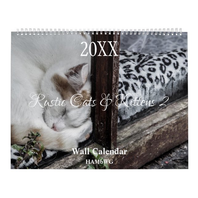 Chats et Chatons Rustiques 2 Calendrier Mural - HA (Protection)