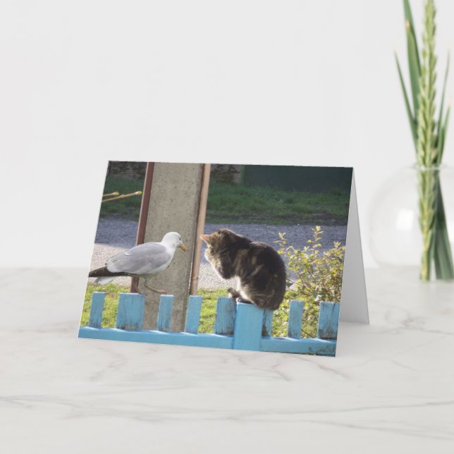 Chats et chatons seulement - carte vierge (Devant)