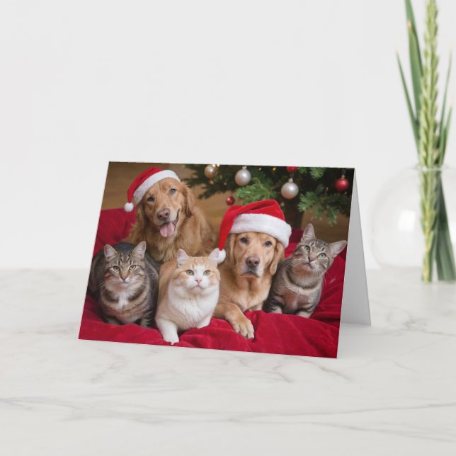 Chats et Chiens Noël Carte de voeux pliée (Devant)