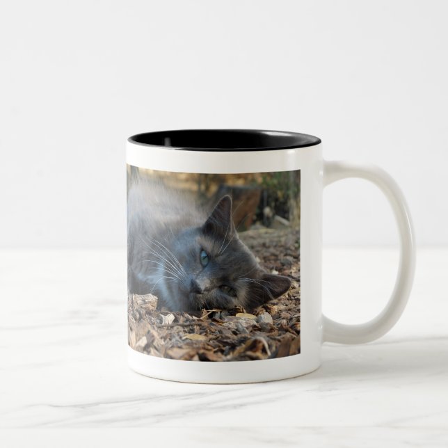 Chats et papilles Sleepy Shady Mug (Droit)
