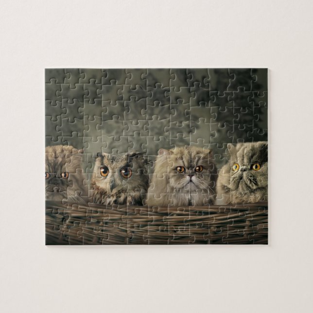 Chats et puzzle de hibou (Horizontal)