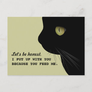 Cadeaux Citation Drole De Chat Zazzle Fr