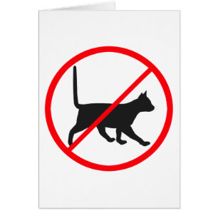 Chats interdits !