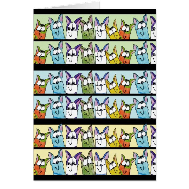 Chats Kitty Lineup Colorful (Devant)