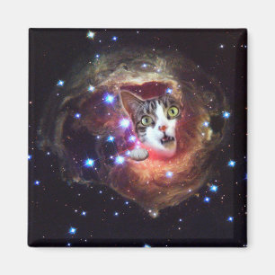 Chats LOL de l'espace de galaxie aimant de carré